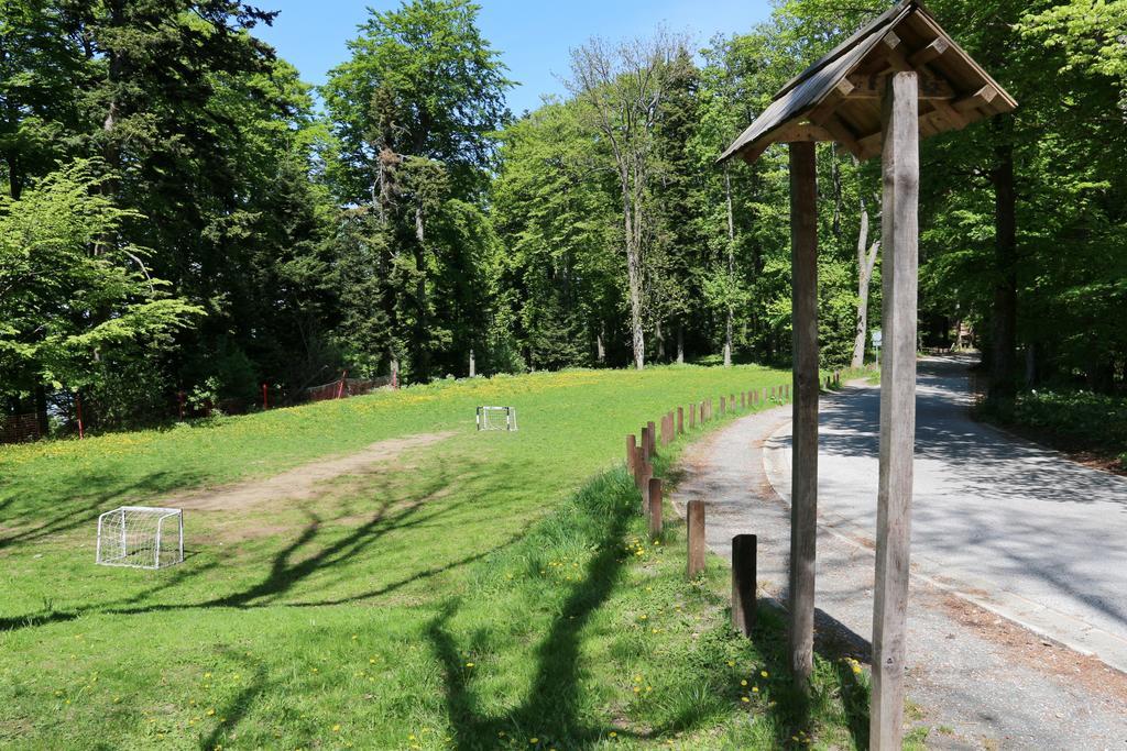 Aparthotel Snjezna Kraljica Stubicke Toplice Eksteriør bilde